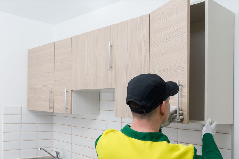 Cabinet Refinishing detail